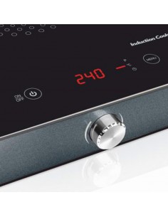 producto-inductionplus-woo-1 2